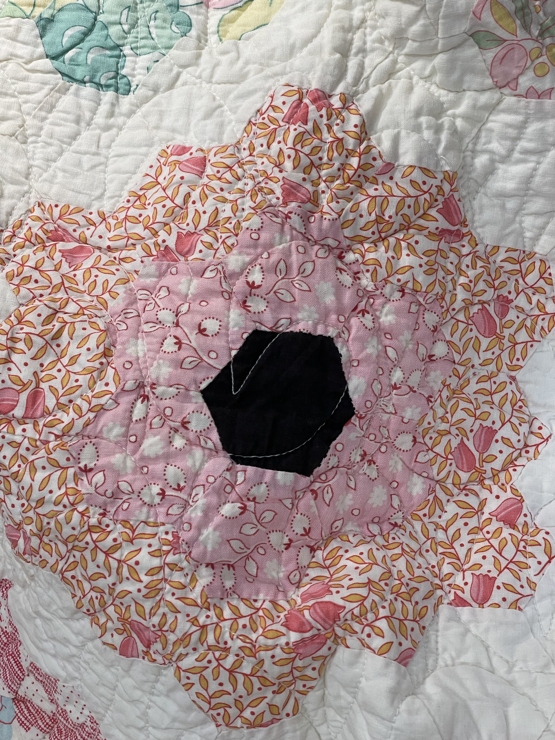 Grandmother's Flower Garden – Rhonda Dort